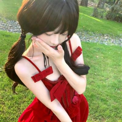 侠盗正传