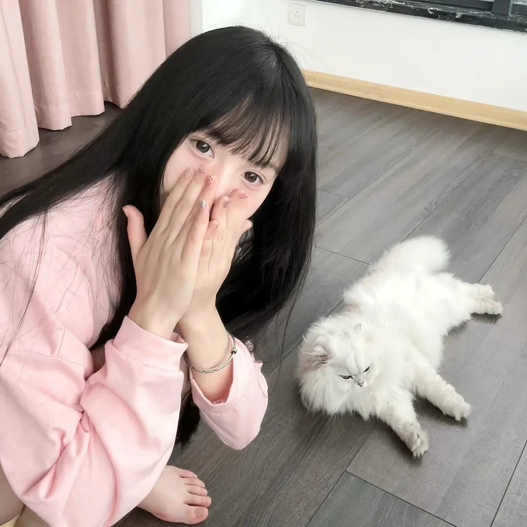独臂拳王大破血滴子
